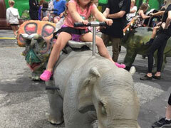 Ride On Animals Ride On Animals